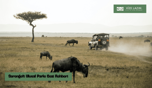Serengeti Ulusal Parkı Gezi Rehberi